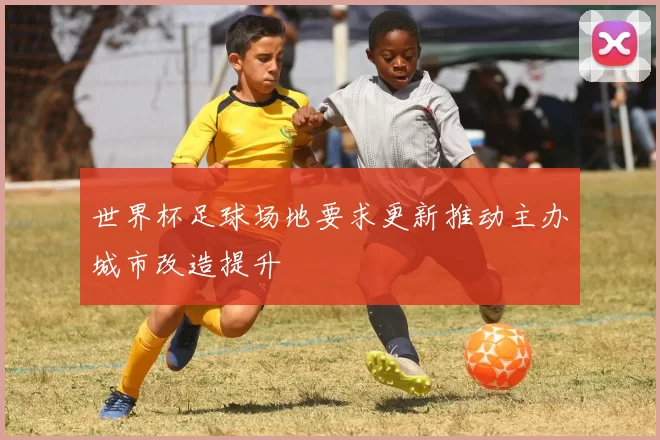 世界杯足球场地要求更新推动主办城市改造提升