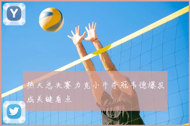 热火总决赛力克小牛夺冠韦德爆发成关键看点