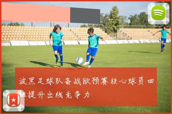 波黑足球队备战欧预赛核心球员回归提升出线竞争力