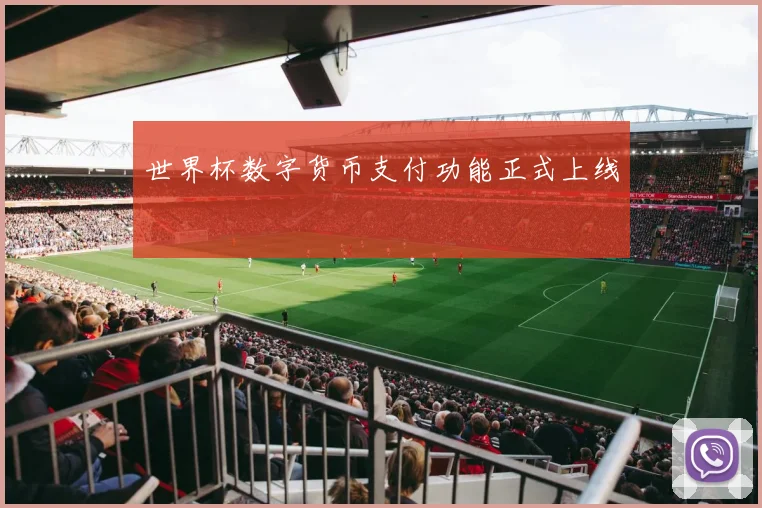 世界杯数字货币支付功能正式上线