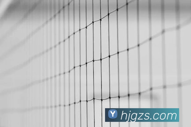 mksports - mk(中国)一站式服务体育官方网站APP 封面图